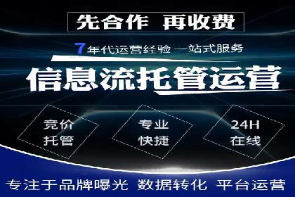 成功案例：一家SEM外包公司的成长与蜕变
